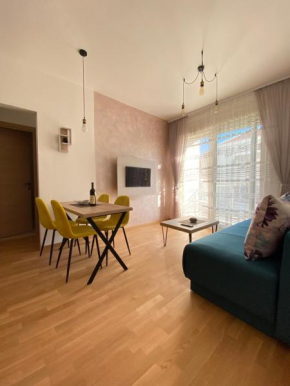 Comfortable apartment in the heart of Budva